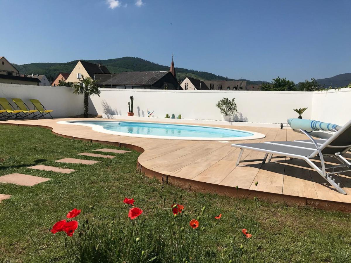Alsacebnb - Gite 12 Personnes Dans Le Vignoble - Piscine Privee & Spa Ammerschwihr Exterior photo